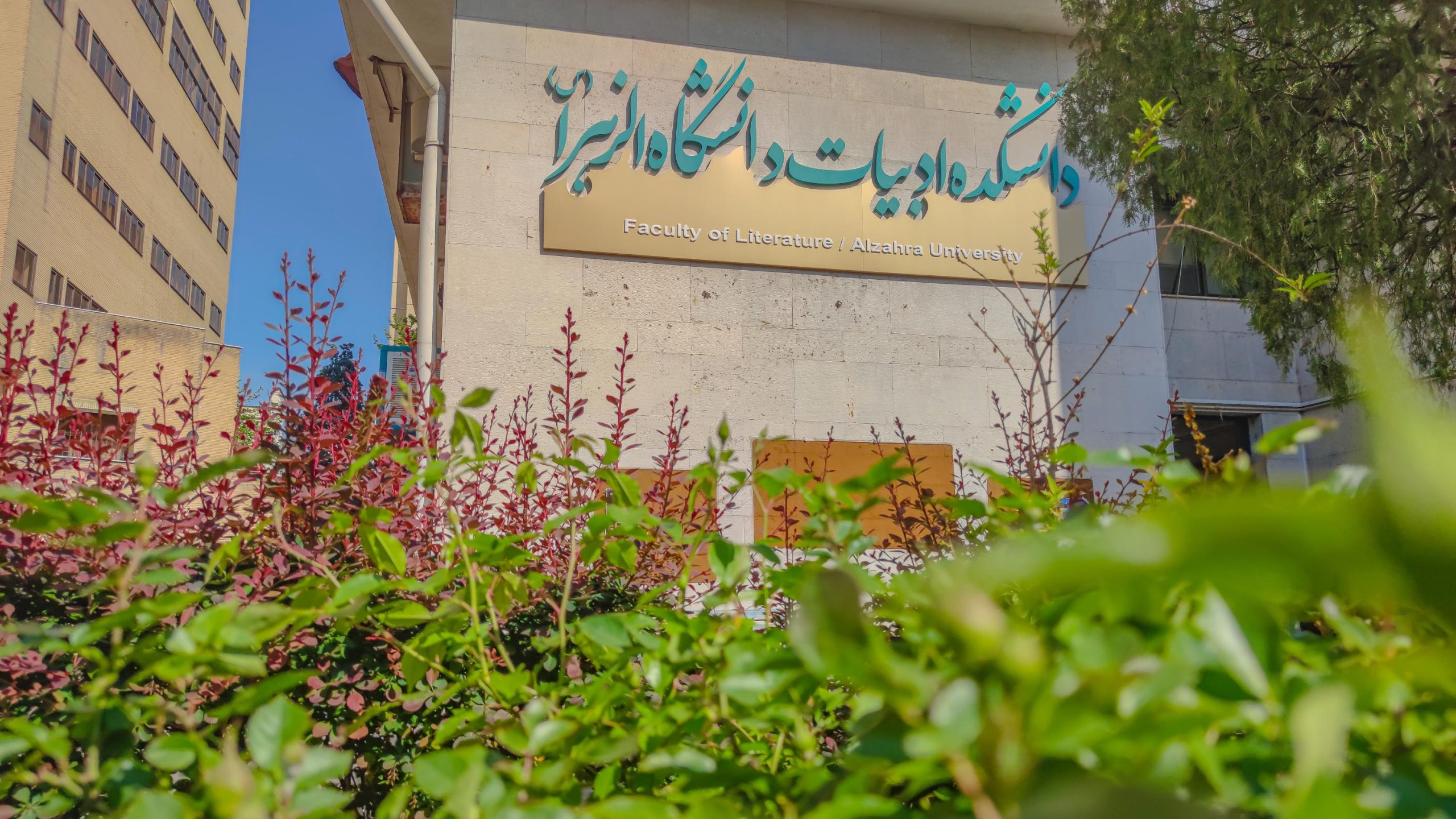 دانشگاه الزهرا